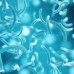 Microbiology Classes Online: Your Pathway to a Career in Science